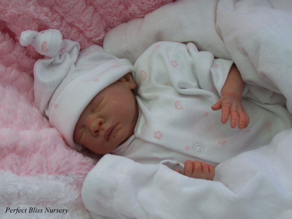 TINY PREEMIE REBORN DOLL BABY GIRL SCULPT POPPY BY SIMON LAURENS eBay